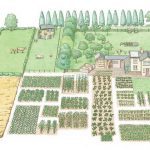 Homesteading for the future