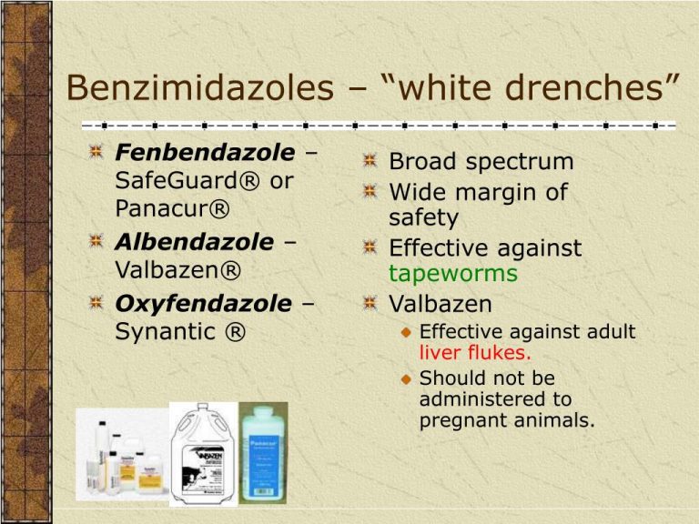 Fenbendazole Stage 4 Cancer Information