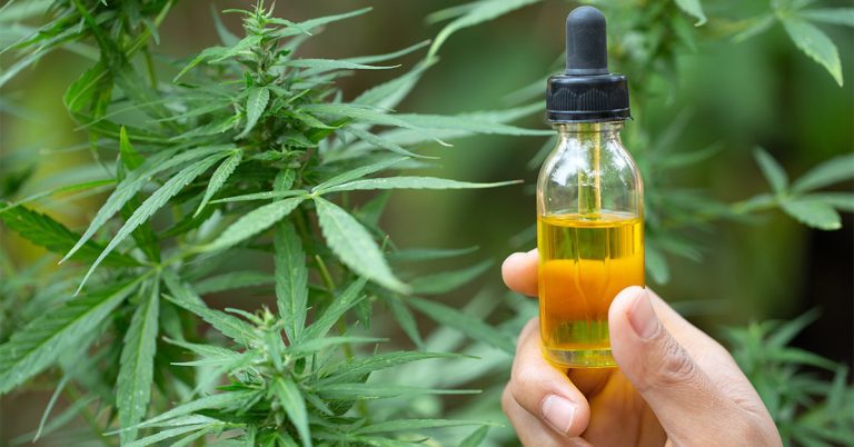 Pain Relief – Why Buy Hemp Oil?