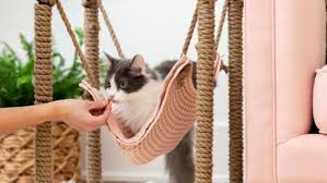 Crafting Cozy: DIY Cat House for Your Outdoor Feline Friends