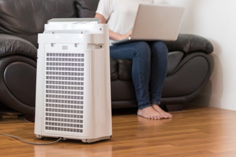 What to Look For in a Large Dehumidifier