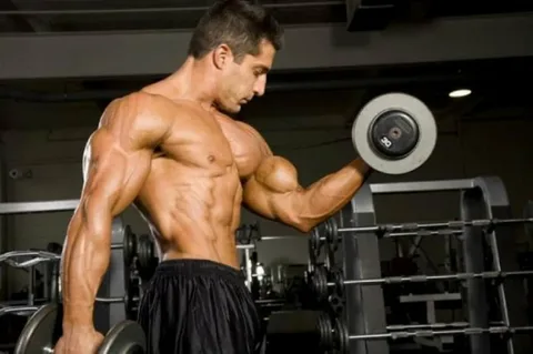 The Ultimate Guide to Muscle Building for Beginners